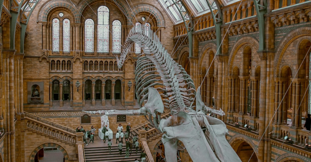 The Architectural Evolution of London’s Historic Estates